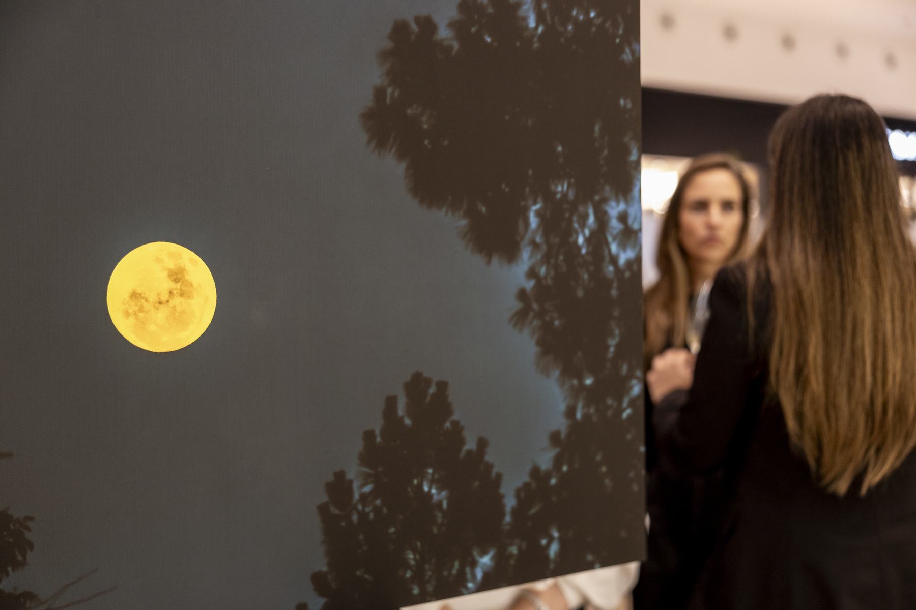 Convidadas diante da fotografia da lua cheia entre as árvores