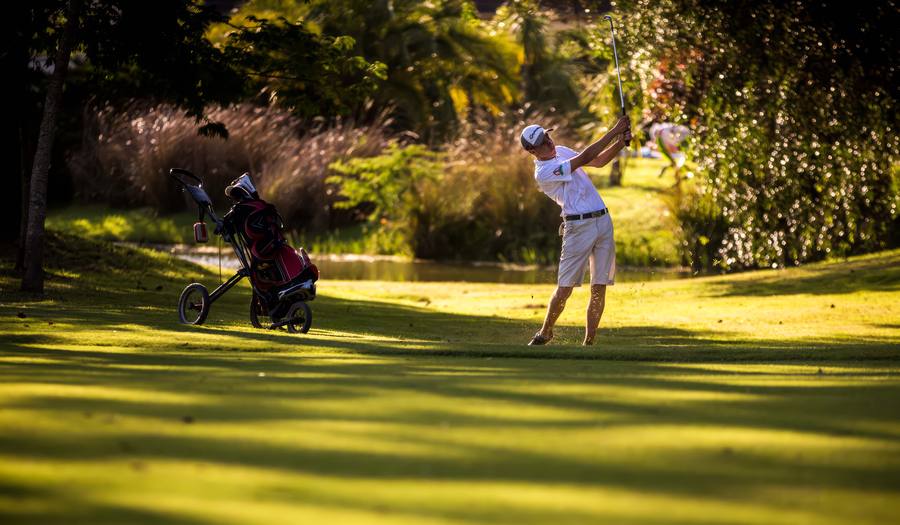 Golfista no meio do campo verde, com a luz baixa atravessando as árvores