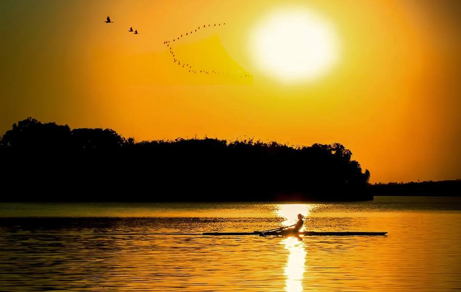 Remador solitário ao pôr do sol, com um bando de pássaros no céu alaranjado